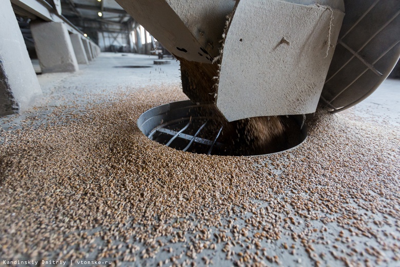 Специалисты нашли нарушения при хранении зерна в томских хозяйствах