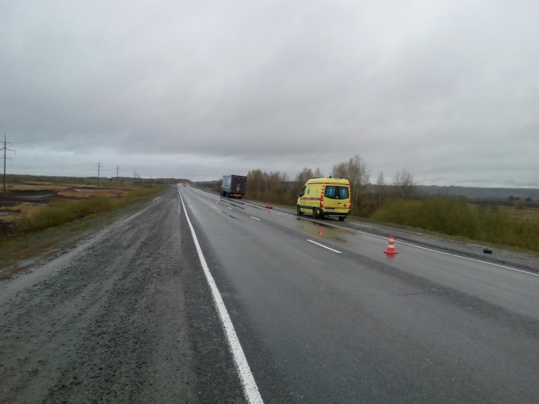 Грузовик насмерть сбил шедшего по дороге мужчину под Томском
