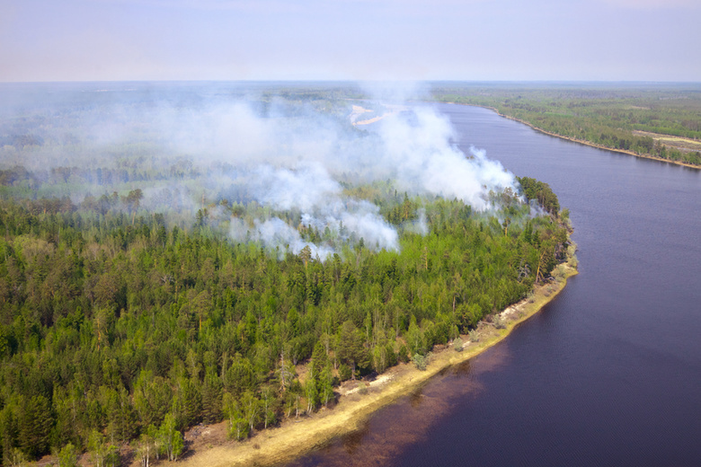 Из-за сухой грозы в Томской области горит 25 га леса