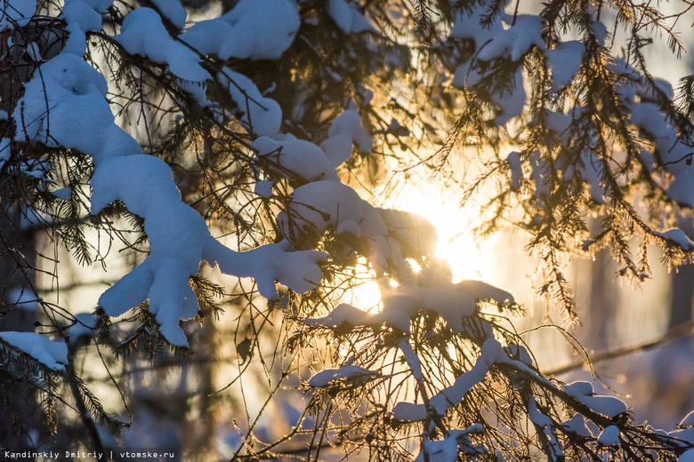 Аномальный холод ожидает жителей Сибири в ближайшие дни