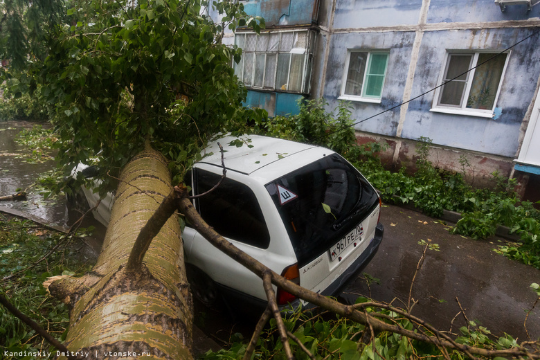 С десяток обращений поступило в полицию из-за поврежденных ураганом авто