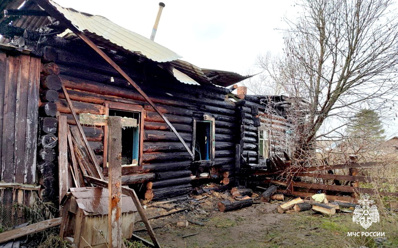 Отец и сын погибли при пожаре в томском селе