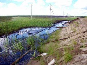 Росприроднадзор не смог доказать факт розлива нефти на Урманском месторождении