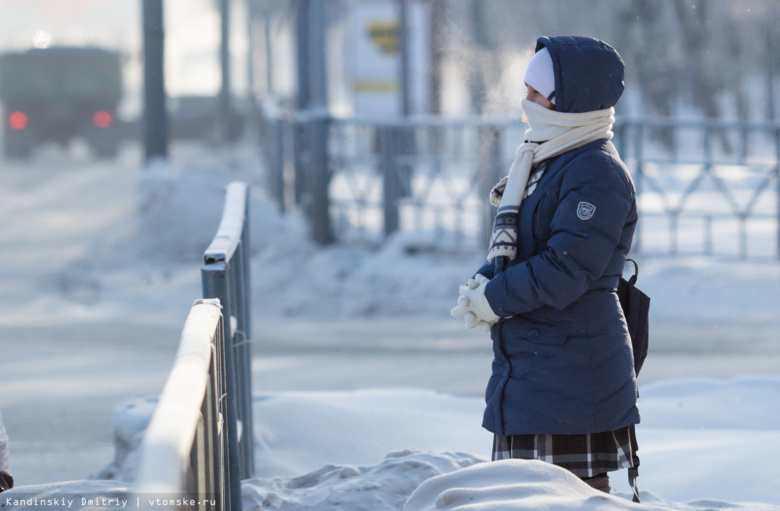Синоптик: мороз до -35 градусов ожидается в Томской области в конце ноября