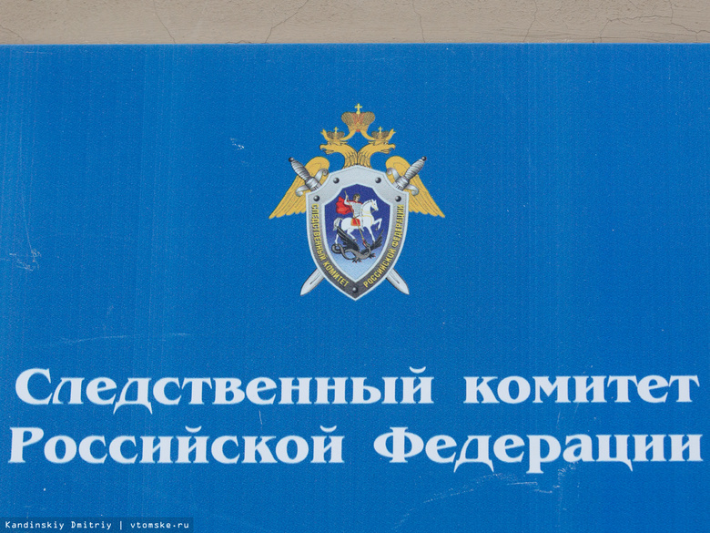 СК разыскивает в Томске мужчину, надругавшегося над девочкой