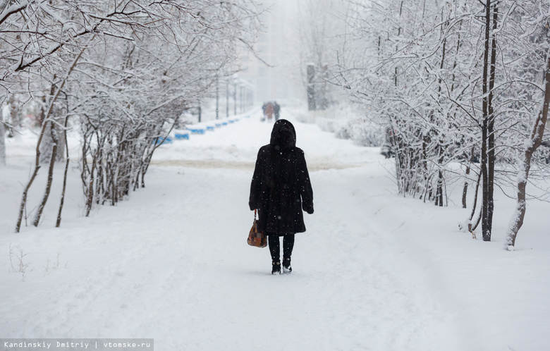 Высота снежного покрова в Томске превысила норму на 35 %