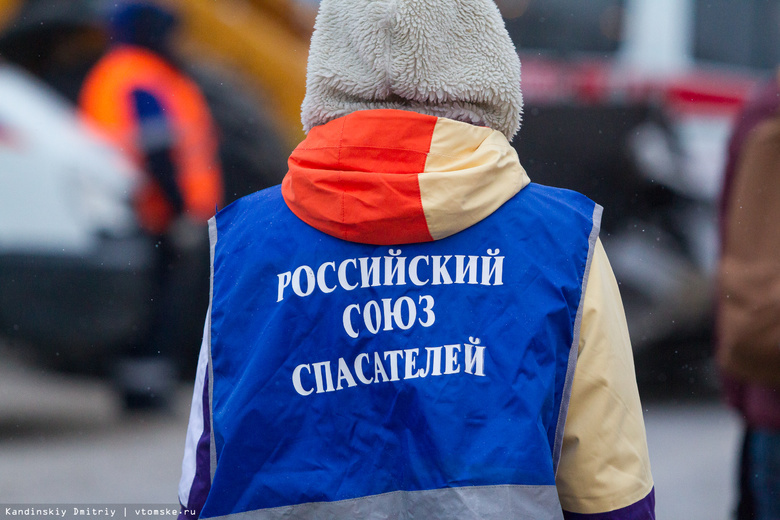 МЧС и волонтеры разыскивают в Томской области пропавшую 90-летнюю женщину