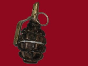 Томич нашел гранату 1915 года