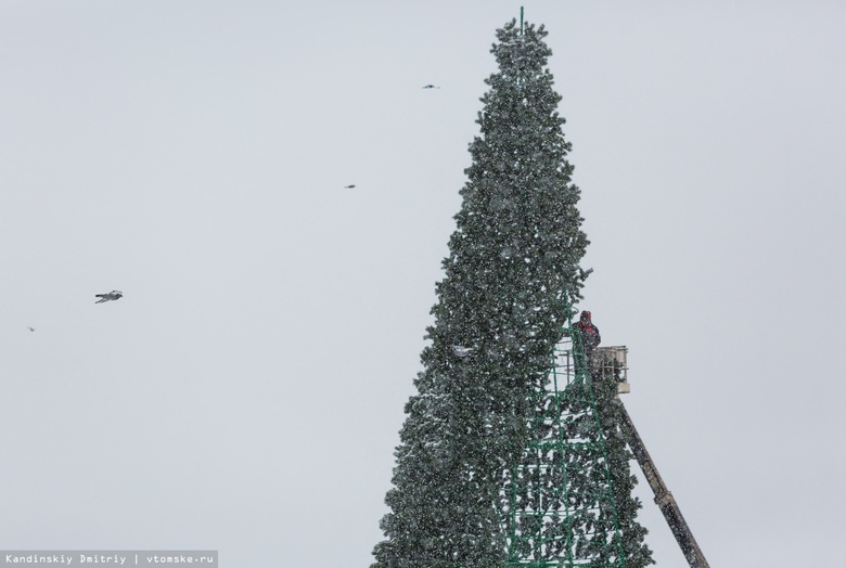 Новогоднюю ель начали устанавливать на Новособорной в Томске