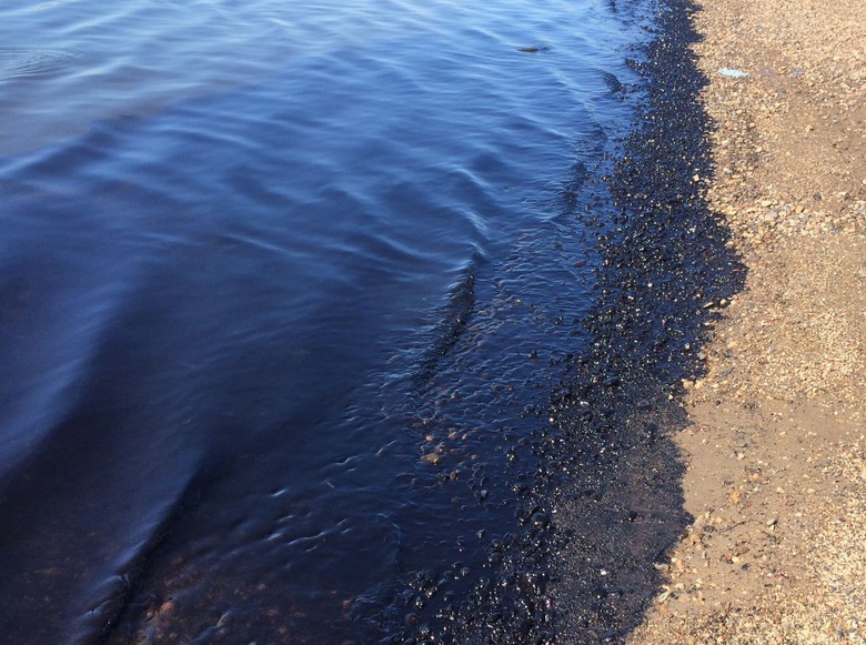 Росприроднадзор пока не нашел источник загрязнения более 0,5 км берега Томи нефтью