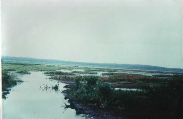 Обь-Енисейский водный путь, оз. Большое (Водораздельное), август 1994 года. Фото: ru.wikipedia.org