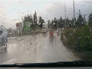 Прохладная погода и осадки продержатся в городе до начала июня