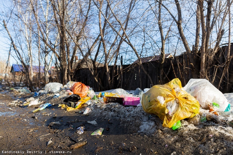 Общегородские субботники в Томске пройдут в апреле