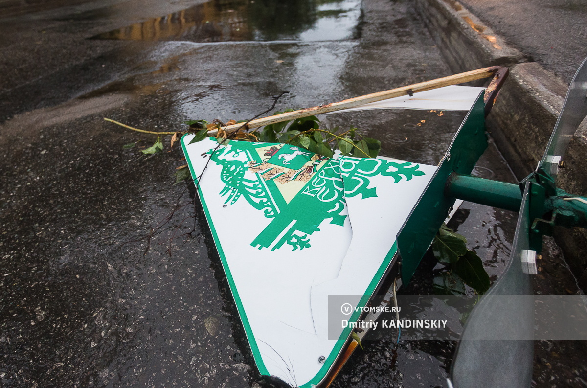 Поваленные деревья и отключения света: ураган накрыл Томск