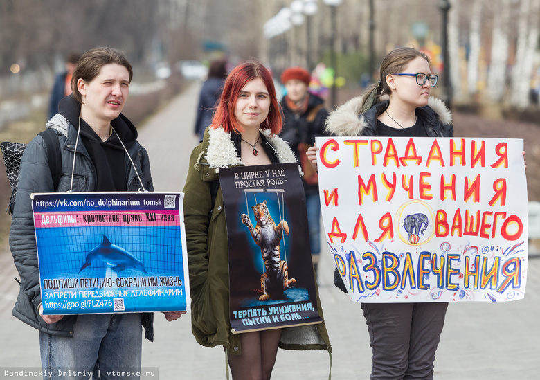 Активисты на пикете рассказали томичам о насилии над животными в цирках