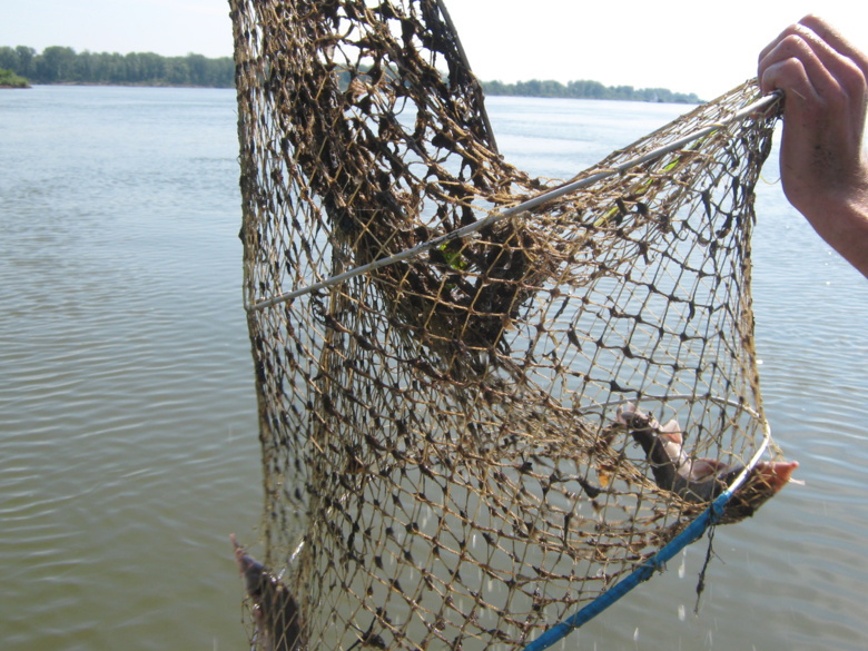 За год возбуждены уголовные дела на 52-х рыболовов-браконьеров