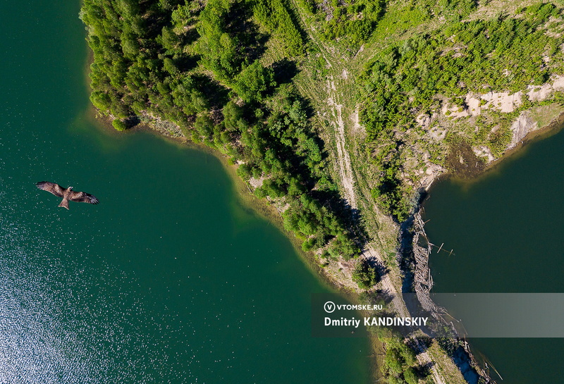 Кишечную палочку нашли в воде Нефтехимовского озера
