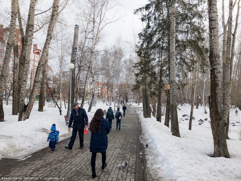 Около 400 млн руб направят за год в Томской области на благоустройство 50 парков и скверов