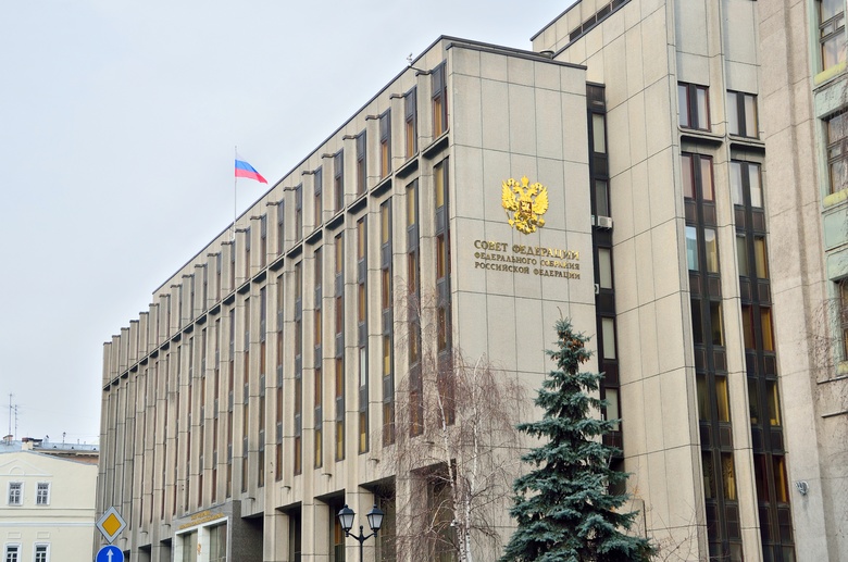 В Совфеде предложили бороться с радикальным феминизмом и чайлдфри