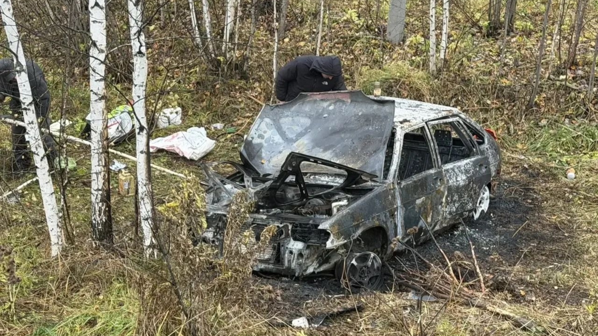 На трассе Томск — Мариинск Lada съехала в кювет и загорелась