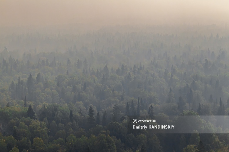 Пожароопасный сезон начался в лесах Томской области. За костры будут штрафовать