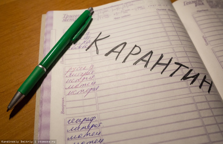В школах Томской области 4 класса закрыли на карантин из-за ОРВИ