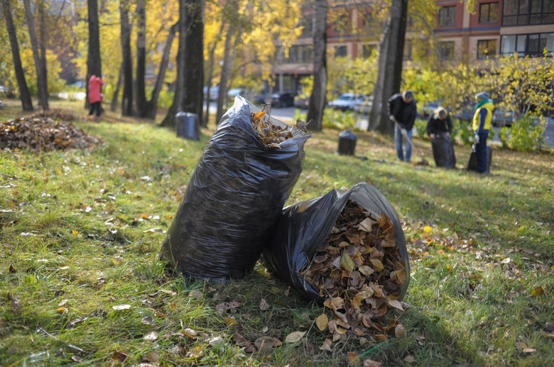 Томичи вновь выйдут на уборку города в рамках первого осеннего субботника