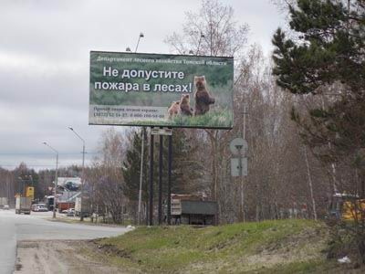 В области установили 230 рекламных щитов с телефонами лесной охраны
