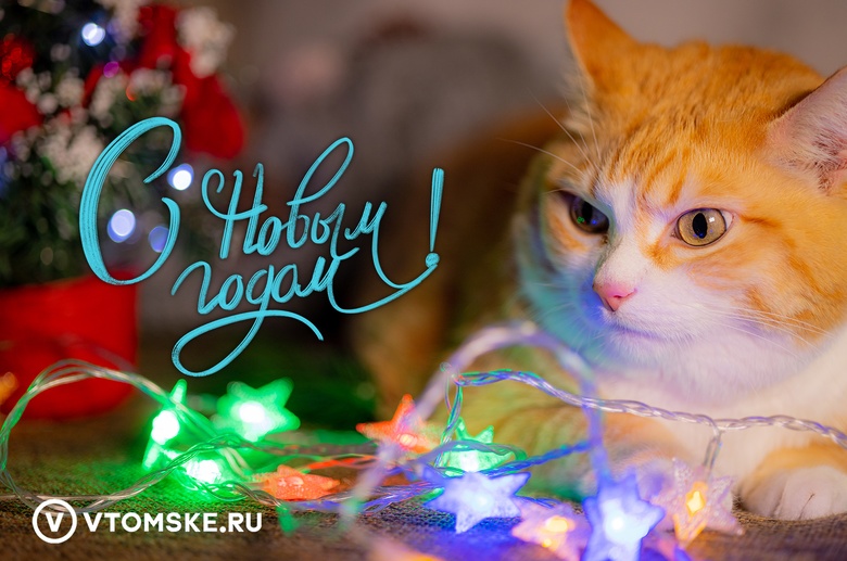 Уходит тяжелый 2022-й. Встречаем новый год