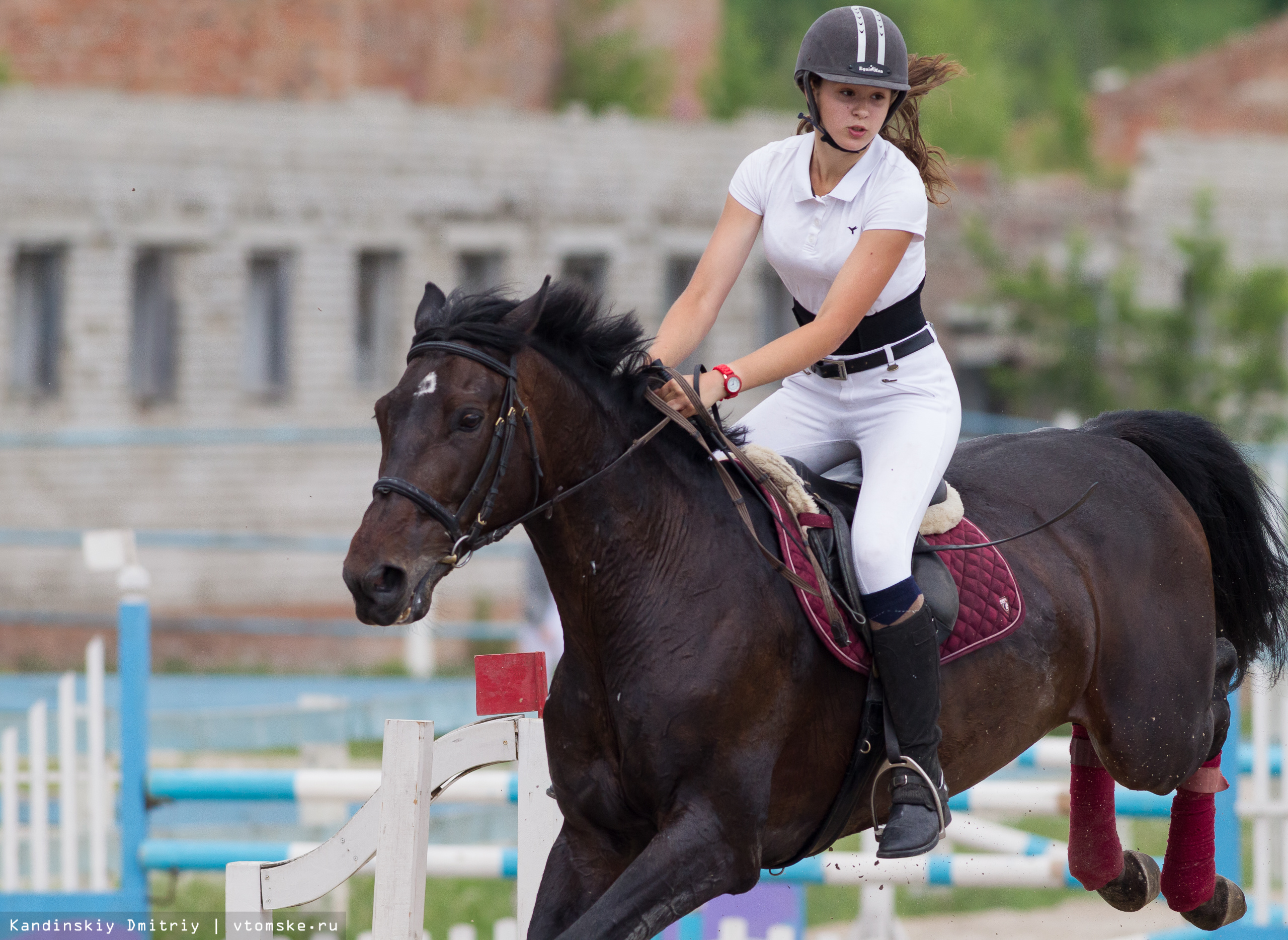 Елена Щербина конный спорт