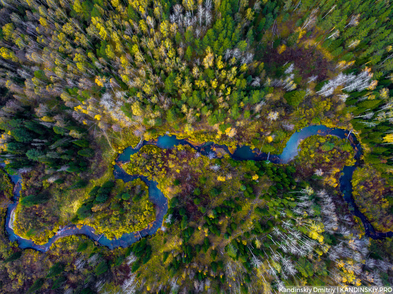 Работа томского фотографа попала на выставку National Geographic