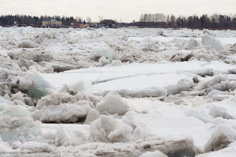 Уровень воды в Томи у Лагерного сада снизился на 35 см