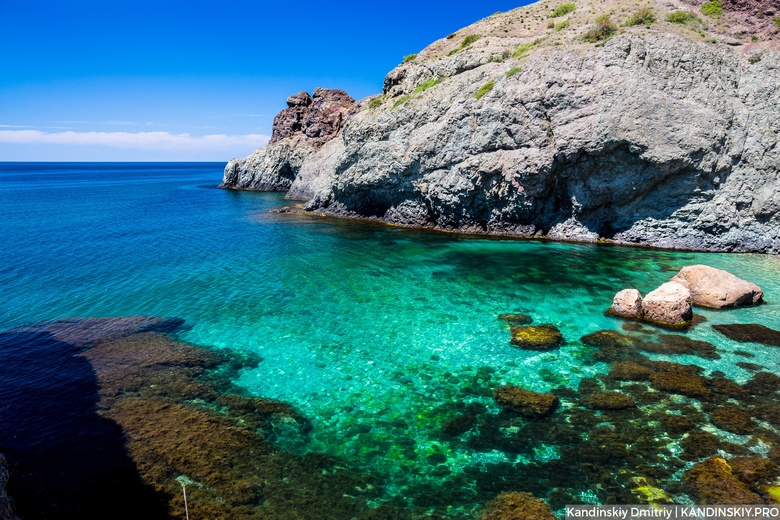 Томичка с ребенком и собакой едва не утонули в Черном море, катаясь на каяке