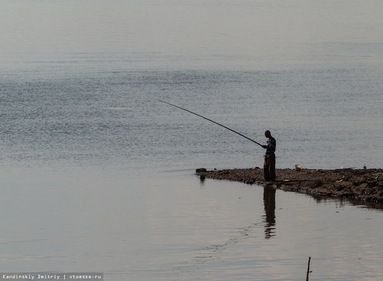 Специалисты обнаружили нерестилища осетровых рыб в реке Томской области