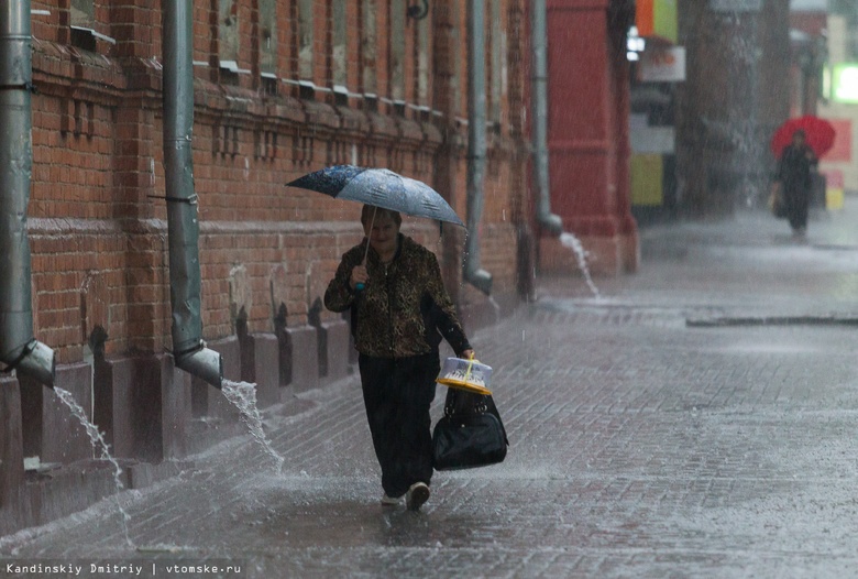 Синоптики: на Томск идет штормовой ветер с ливнями и грозами