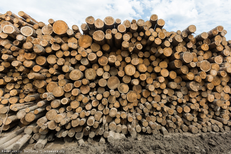 Четверо китайцев незаконно работали в пункте приема древесины в Томской области