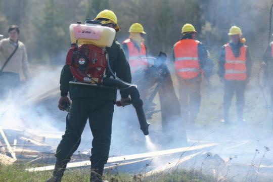 Прокуратура выявила сотни нарушений при подготовке к сезону лесных пожаров