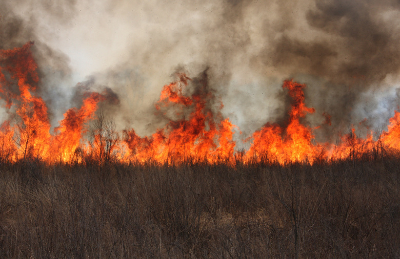 С начала недели в Томской области сгорело больше 60 га леса