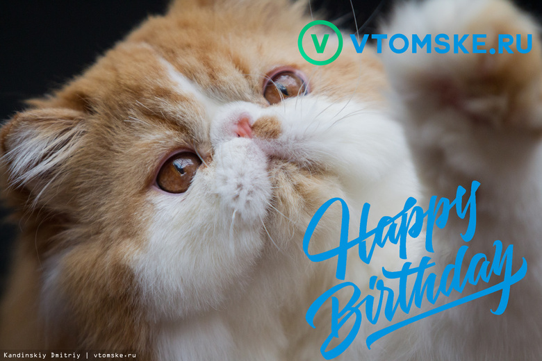 С днем рождения: vtomske.ru «стукнуло» 10 лет