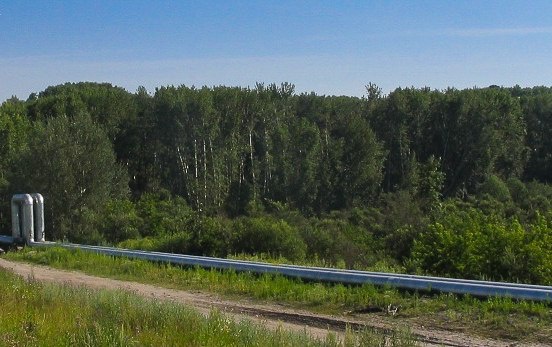 В городе появятся места для пикников