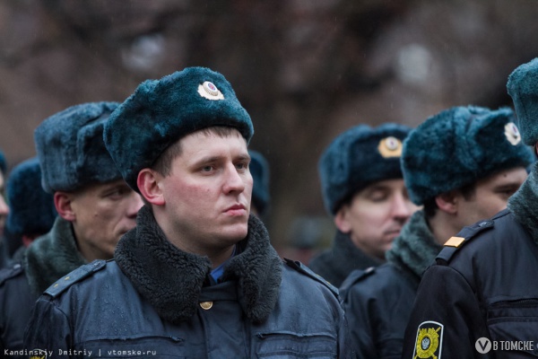 Больше 600 полицейских будут дежурить в Томской области в новогоднюю ночь