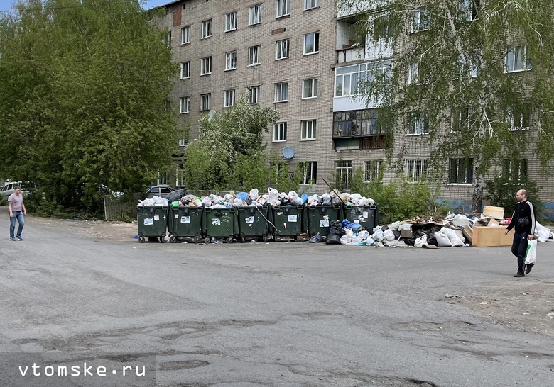 Мэрия: проблемы с уборкой отходов в Томске останутся, если не изменить мусорную реформу