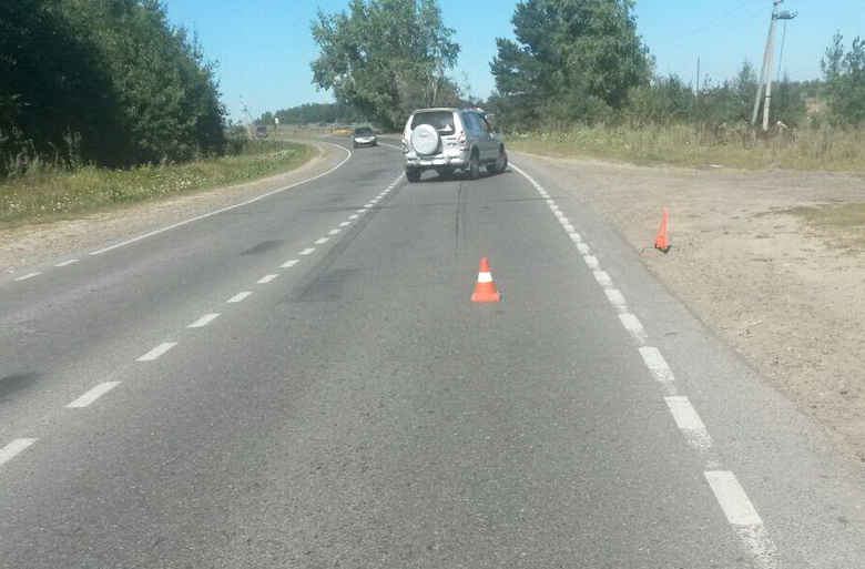 Пенсионерка в томском селе попала под колеса авто, пытаясь поймать собаку на дороге