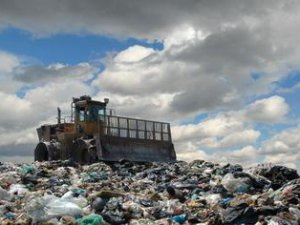 За год в Томском районе выявлено 240 экологических нарушений