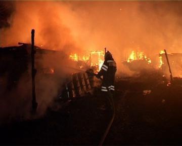 Лошади и телята погибли во время пожара на ферме под Томском