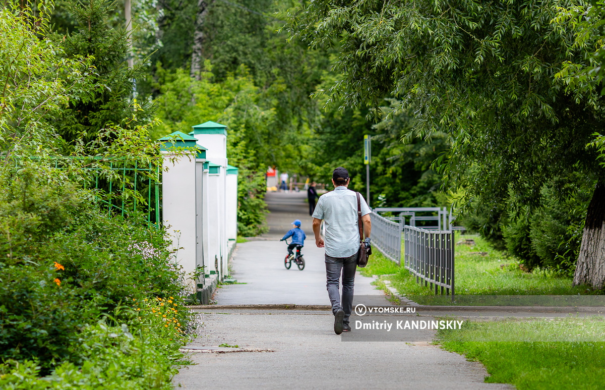 Студентка томского вуза разработала «умные» зеленые ограждения для городов