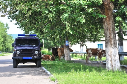 Томичей просят помочь в розыске женщины (фото)