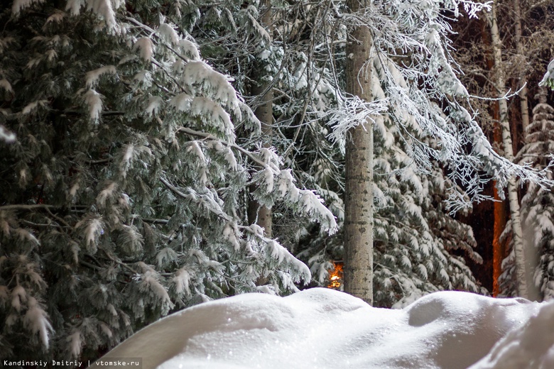 Синоптики: на смену снегопадам в Томскую область придет похолодание