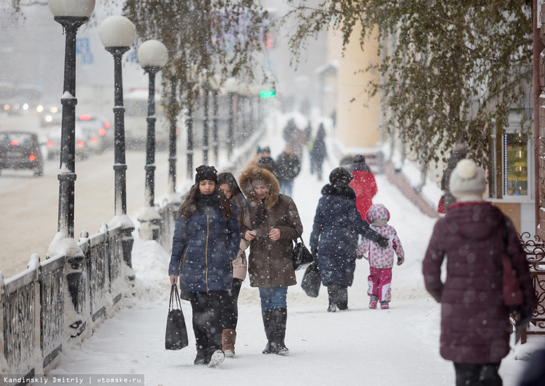 Сильный снег и порывистый ветер обещают томичам в понедельник