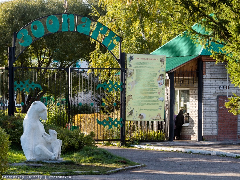 Северский зоопарк хочет купить кенгуру и капибару